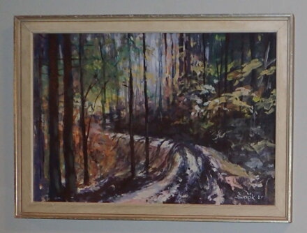 TŘEBOVSKÉ STĚNY - ŠEVČÍK LADISLAV