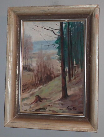 U LESA - ŠEVČÍK LADISLAV