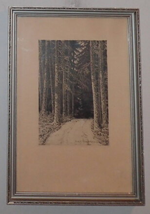 LESNÍ CESTA - ŠKRÁBAL RUDOLF