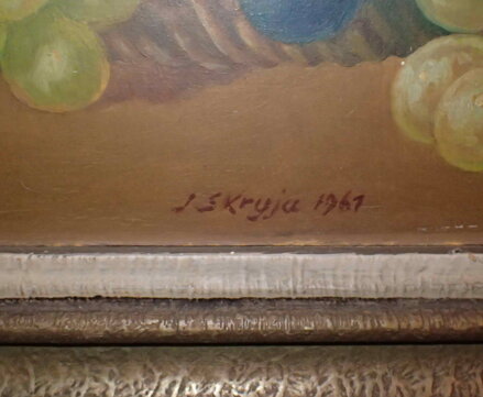 POKOJOVÉ KVĚTINY A OVOCE - SKRYJA JAROSLAV