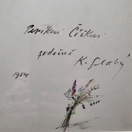 JIHOČESKÁ KRAJINA - SLABÝ KAREŠ KAREL