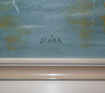 ŘEKA V KRAJINĚ - SLÁMA