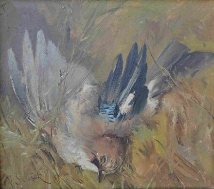ULOVENÁ SOJKA - SOUŠEK VÁCLAV