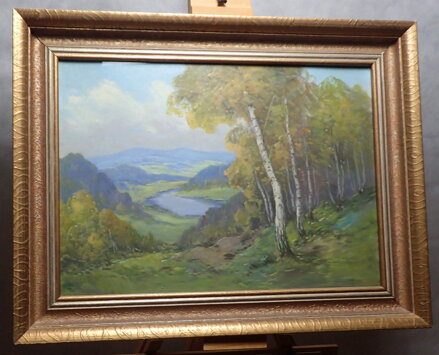BŘEZOVÝ HÁJ NAD ŘEKOU - STEIN VÁCLAV