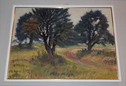 STROMY U CESTY - ŠTEMBERA OTAKAR STROMY U CESTY - ŠTEMBERA OTAKAR