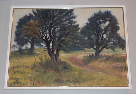 STROMY U CESTY - ŠTEMBERA OTAKAR STROMY U CESTY - ŠTEMBERA OTAKAR