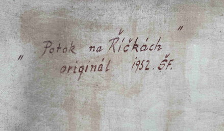 POTOK NA ŘÍČKÁCH V ORLICKÝCH HORÁCH - ŠTRAJT FRANTIŠEK