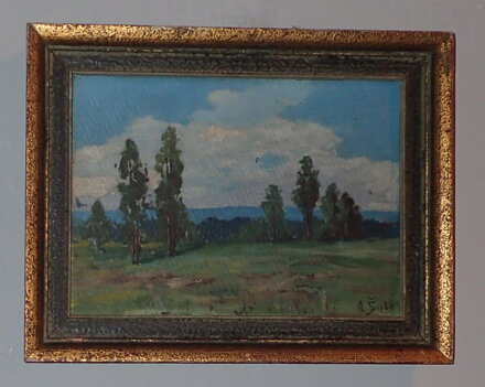 LETNÍ KRAJINA - ŠULC A.
