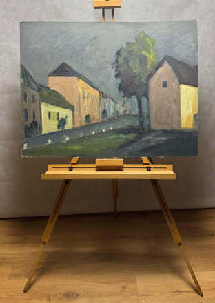 CHALUPY NA VYSOČINĚ II. - ŠUSTR ANTONÍN