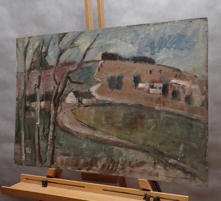 CHALUPY NA VYSOČINĚ III. - ŠUSTR ANTONÍN