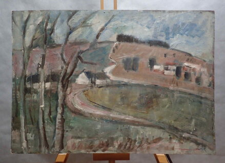 CHALUPY NA VYSOČINĚ III. - ŠUSTR ANTONÍN