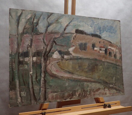 CHALUPY NA VYSOČINĚ III. - ŠUSTR ANTONÍN