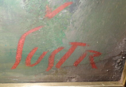 CHALUPY NA VYSOČINĚ IV. - ŠUSTR ANTONÍN