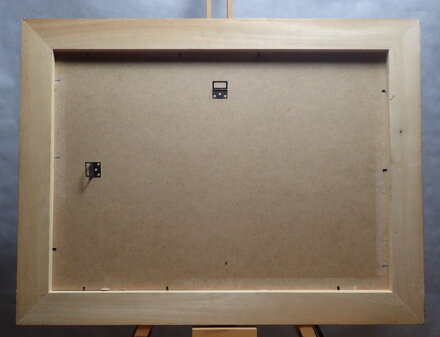 CHALUPY NA VYSOČINĚ IV. - ŠUSTR ANTONÍN