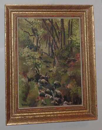 LESNÍ POTOK - TATOUŠEK
