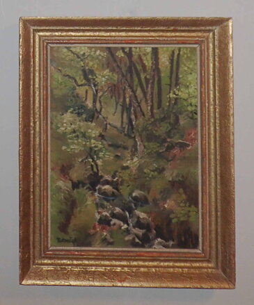 LESNÍ POTOK - TATOUŠEK
