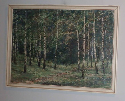 BŘEZOVÝ HÁJ - TOMŠ