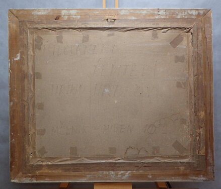 ZRCADLENÍ NA HLADINĚ - TRNKA ADOLF