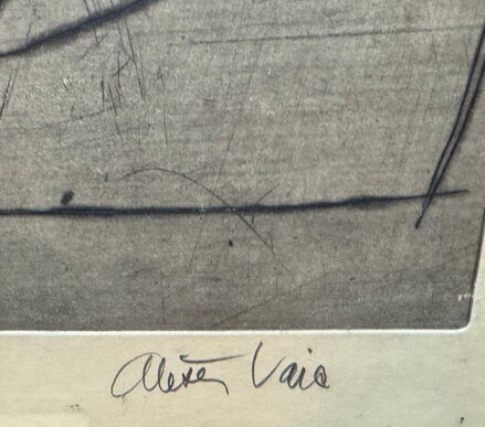AKT CHTIVÉ RUCE - VAIC ALEŠA