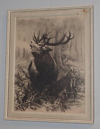 JELENI V ŘÍJI - VAIC JOSEF