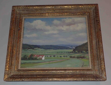 LETNÍ KRAJINA - VALA BEDŘICH