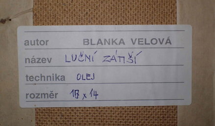 LUČNÍ ZÁTIŠÍ - VELOVÁ BLANKA