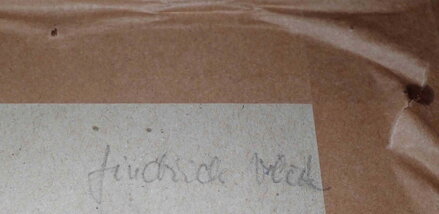 KRIEGSBLINDE VÁLEČNÝ SLEPEC - VLČEK JINDŘICH