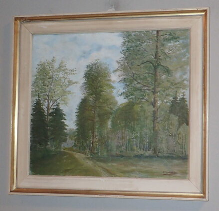 CESTA DO LESA - VODVÁŘKA E.