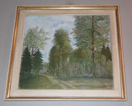 CESTA DO LESA - VODVÁŘKA E.