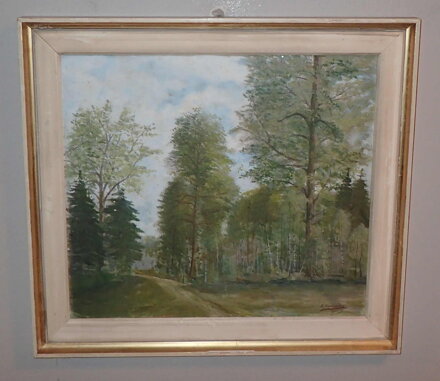 CESTA DO LESA - VODVÁŘKA E.