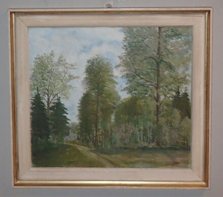CESTA DO LESA - VODVÁŘKA E.