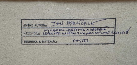 KATOVNA A DŘEVĚNÁ LÁVKA PŘES MALÉ VALY NA "KOZINU" NYNÍ REJDIŠTĚ - VORLÍČEK JAN