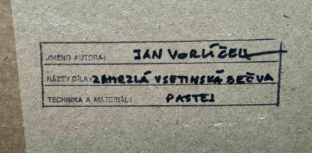 ZAMRZLÁ VSETÍNSKÁ BEČVA - VORLÍČEK JAN