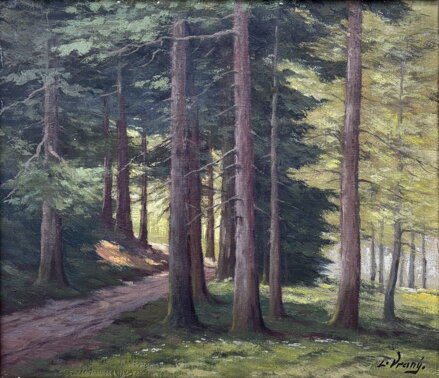 CESTA LESEM - LADISLAV VRANÝ