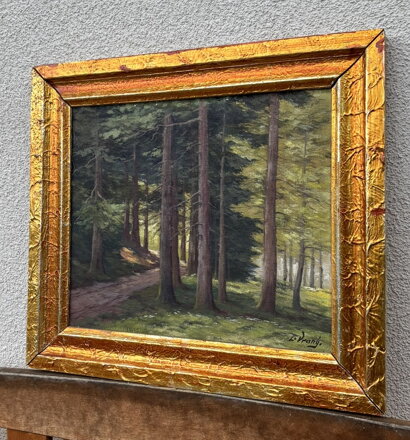 CESTA LESEM - LADISLAV VRANÝ