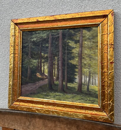 CESTA LESEM - LADISLAV VRANÝ