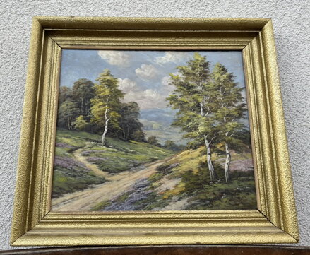 CESTA MEZI VŘESY A BŘÍZAMI - VRANÝ LADISLAV