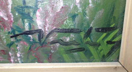 VYSOKÉ TATRY BIELOVODSKÁ DOLINA - SIGNOVÁN