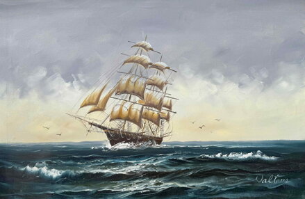 TŘÍSTĚŽŇOVÁ FREGATA - WALTERS