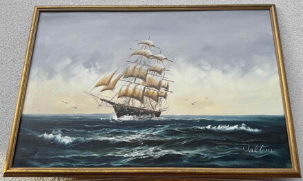 TŘÍSTĚŽŇOVÁ FREGATA - WALTERS