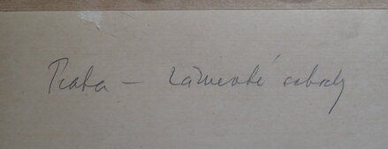 ZÁMECKÉ SCHODY V PRAZE - SIGNOVÁN