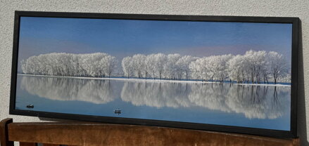ZASNĚŽENÉ STROMY U VODY - REPRODUKCE FOTOGRAFIE