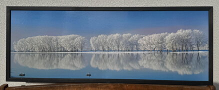 ZASNĚŽENÉ STROMY U VODY - REPRODUKCE FOTOGRAFIE