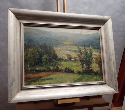 ŽIVOT V HORÁCH - NEZNÁMÝ AUTOR