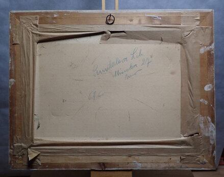 ŽIVOT V HORÁCH - NEZNÁMÝ AUTOR