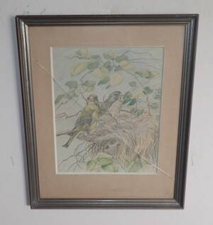 ČÍŽEK LESNÍ - ŽIDLICKÝ JIŘÍ