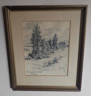 NOVÉ MĚSTO NA MORAVĚ KRAJINA - ŽIDLICKÝ JIŘÍ