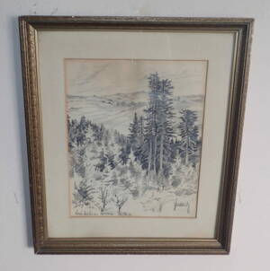 NOVÉ MĚSTO NA MORAVĚ LES V KRAJINĚ - ŽIDLICKÝ JIŘÍ