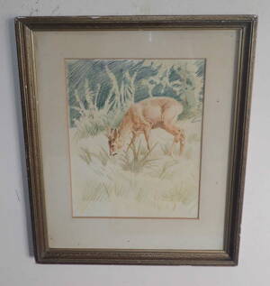 SRNEC NA PASTVĚ - ŽIDLICKÝ JIŘÍ