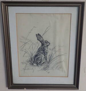 ZAJÍC V TRÁVĚ - ŽIDLICKÝ JIŘÍ